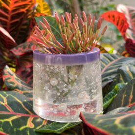 Misa Allium Bowl- Purple Border, Transparent Body, White Pearls 3 HP07 IMG 0677 scaled 1