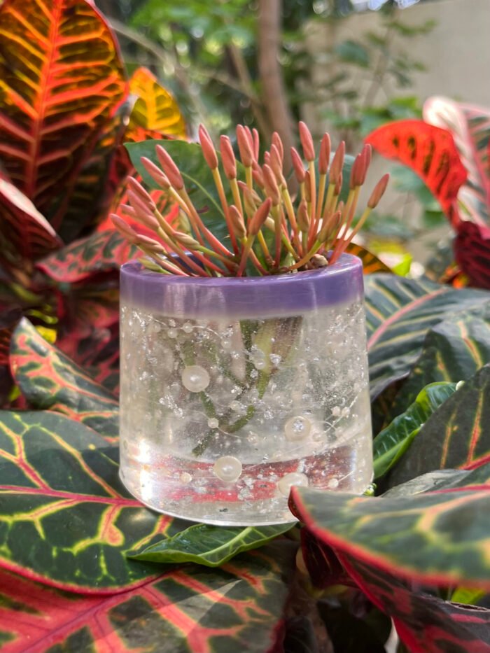 Misa Allium Bowl- Purple Border, Transparent Body, White Pearls