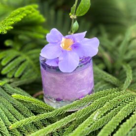 HP11 IMG 0687 scaled 1