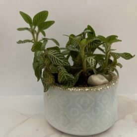 Misa Allium Bowl- Kite design, Silver Marble finish 3 IMG 1661 Original