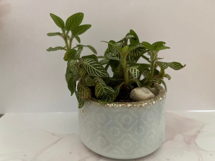 Misa Allium Bowl- Kite design, Silver Marble finish