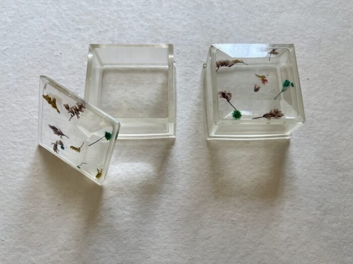 Misa Cornus Trinket Box- Transparent with Flowers