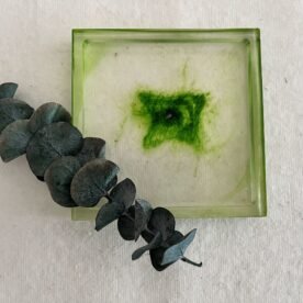 Misa Cornus Trinket Dish- Green 3 IMG 4363 scaled 1