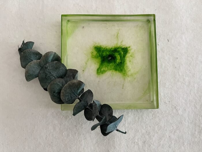 Misa Cornus Trinket Dish- Green