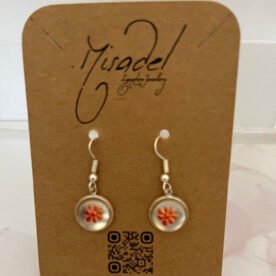 nc K124 IMG 1807 scaled 1