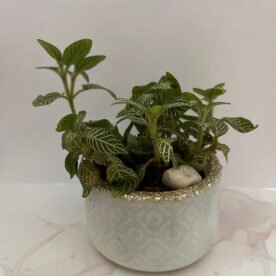 Misa Allium Bowl- Kite design, Silver Marble finish 7 shp HP14 IMG 1662 scaled 1