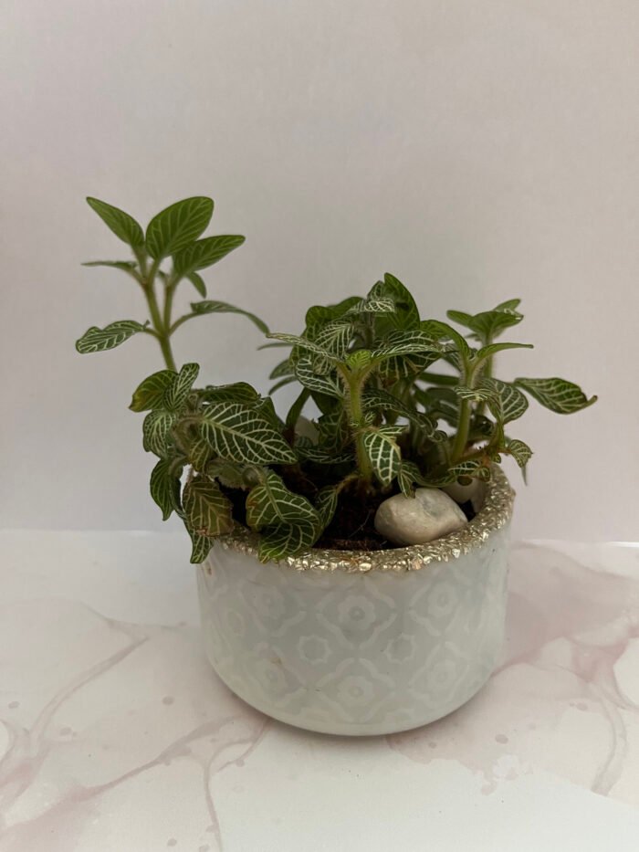 Misa Allium Bowl- Kite design, Silver Marble finish - Image 5